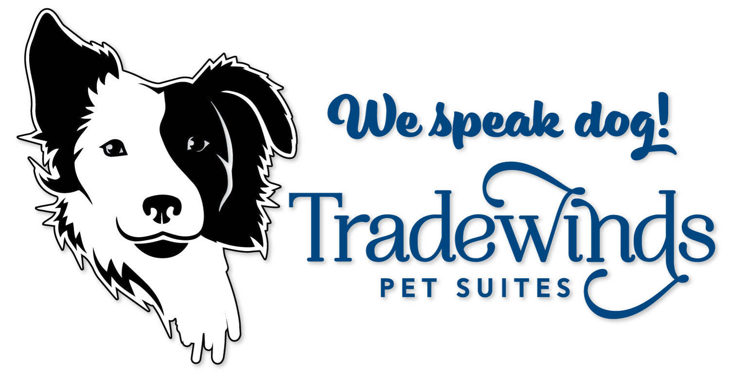 Logo for Tradewinds Pet Suites. Your Dog's Vacation Home.